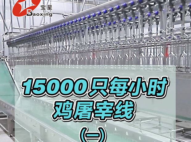 全自动家禽屠宰线，时宰 15000 羽，尺度化流程、高效干净、安全可控，一站式解决规；涝仔枰