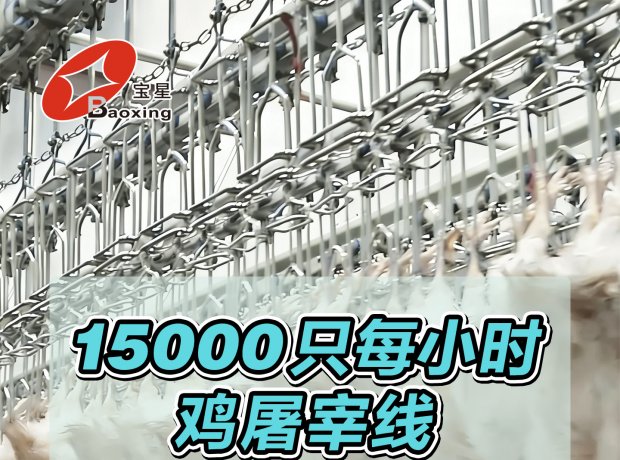 全自动家禽屠宰线，时宰 15000 羽，尺度化流程、高效干净、安全可控，一站式解决规；涝仔枰。